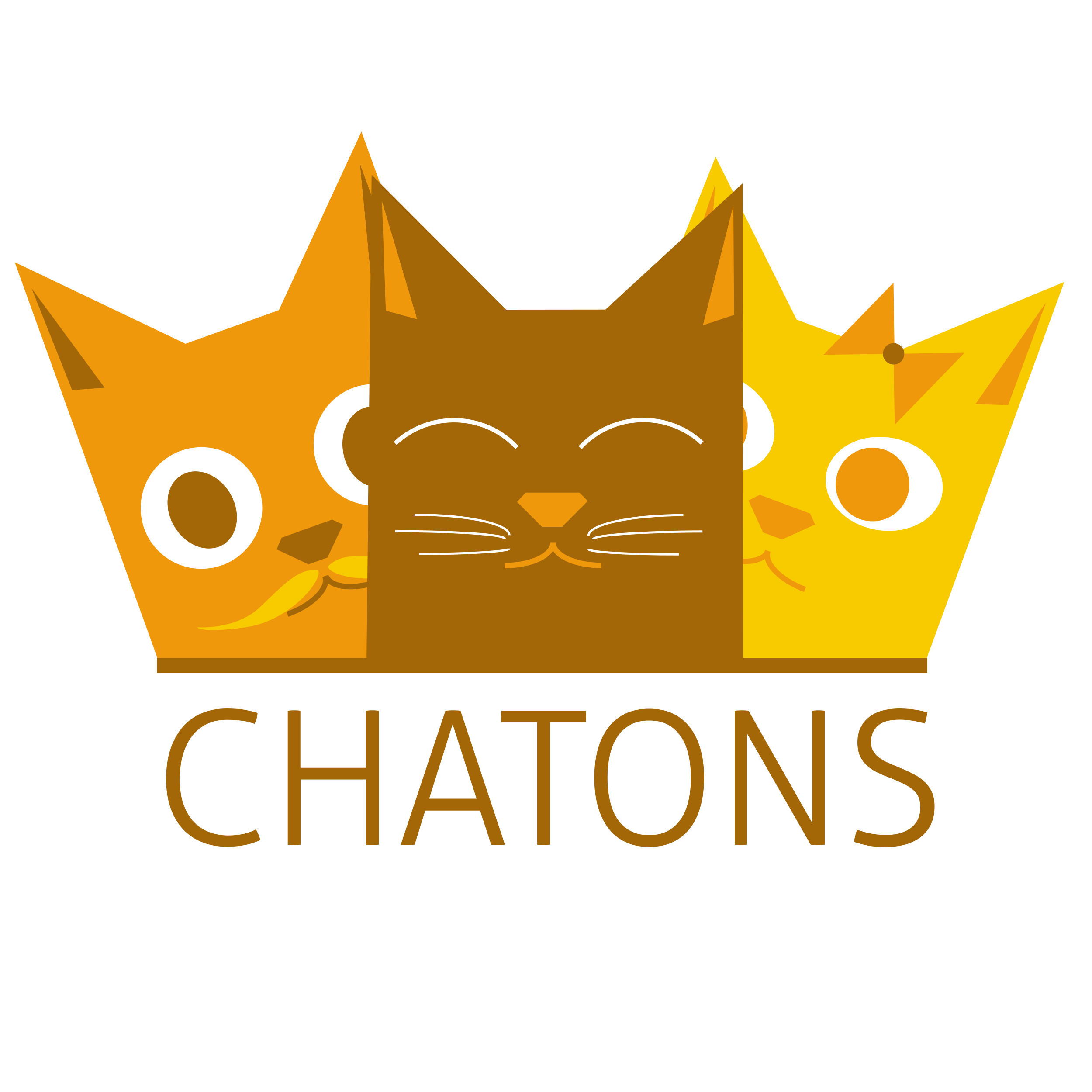 Collectif chatons
